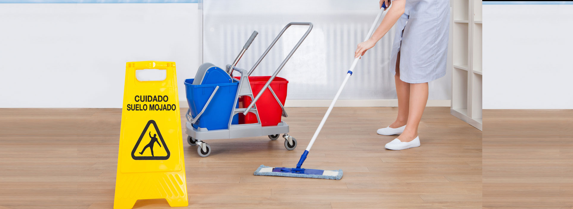 Servicios empresariales de occidente limpieza de empresas